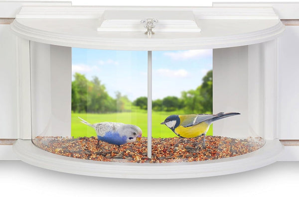 Shop All Bird Feeders