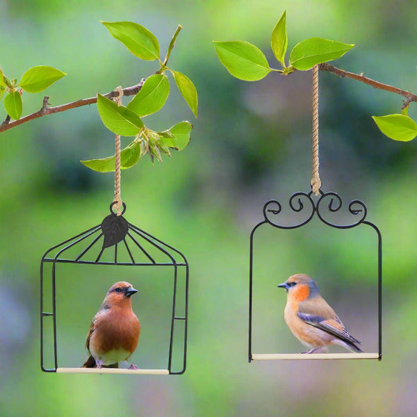 Feeders Bird Swing