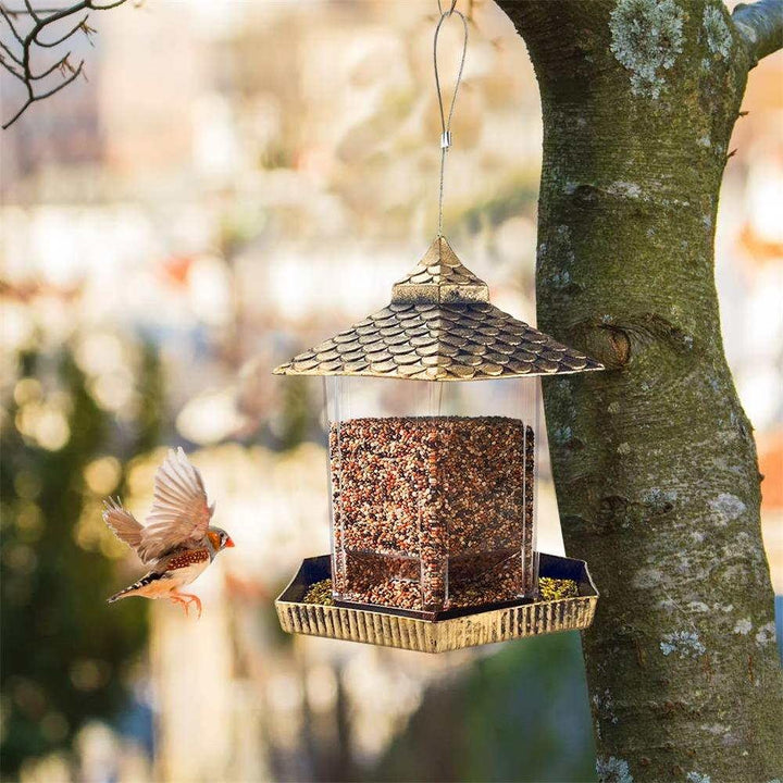 Golden Hanging Bird Feeders