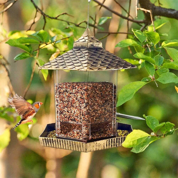 Golden Hanging Bird Feeders Online