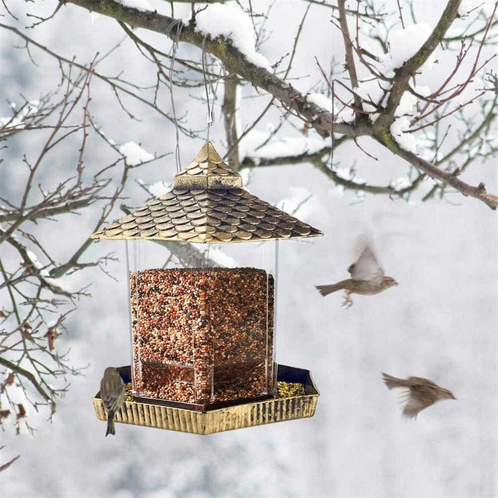 hanging bird feeder - golden color