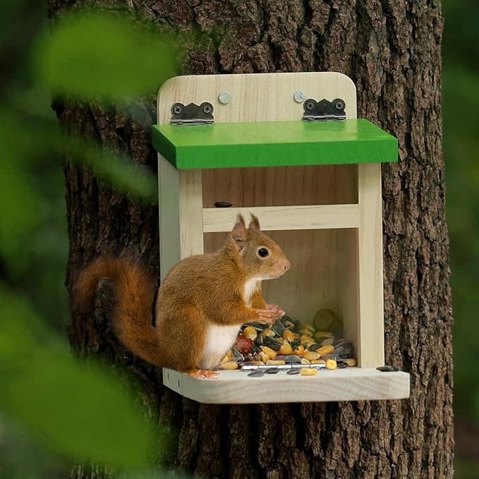 MIXXIDEA Squirrel Feeders Online