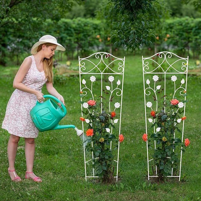 Mixxidea Trapezoidal Garden Trellis