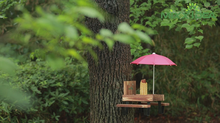 Squirrel feeder table